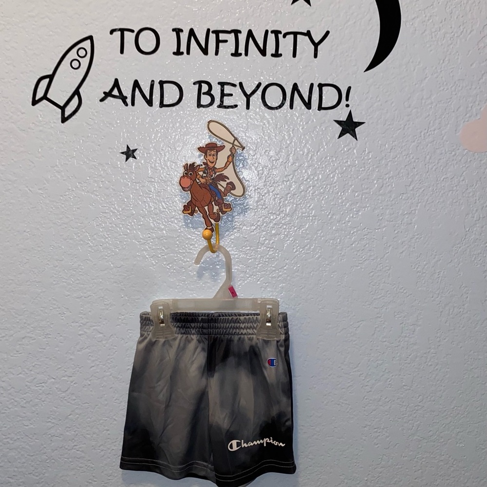 Champion - Picture 2 of 2